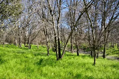 1407 W Maple, Goldthwaite, TX 76844 - Photo 2