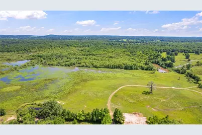 12250 County Road 3513, Brownsboro, TX 75756 - Photo 4