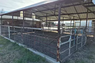 308 Alanis Dr, Wylie, TX 75098 - Photo 10