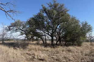 7582 FM 205, Glen Rose, TX 76433 - Photo 12