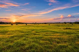 Tbd County Road 310, Jonesboro, TX 76585 - Photo 1