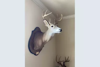 Tbd County Road 310, Jonesboro, TX 76585 - Photo 40