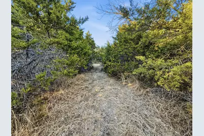 Tbd County Road 310, Jonesboro, TX 76585 - Photo 30