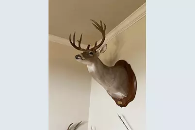 Tbd County Road 310, Jonesboro, TX 76585 - Photo 38