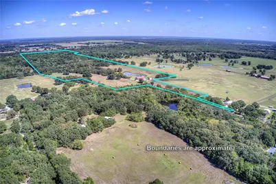 429 County Road 4736, Cumby, TX 75433 - Photo 38