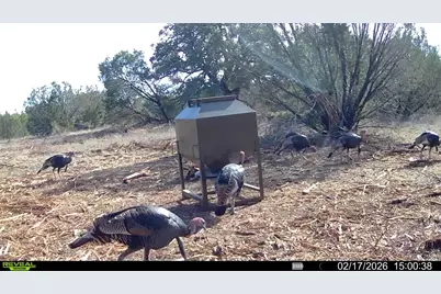 14360 Cr 156, Bluff Dale, TX 76433 - Photo 18