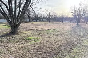 Tbd Arlene Ln, Mineral Wells, TX 76067 - Photo 1