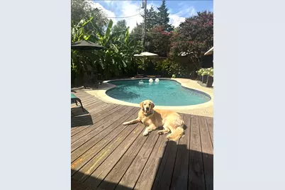 4245 Concho Street, Dallas, TX 75206 - Photo 26