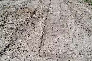 291 County Rd 3305, Clifton, TX 76634 - Photo 32