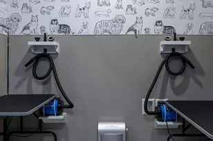 930 Ridgeview Dr, Allen, TX 75013 - Photo 18