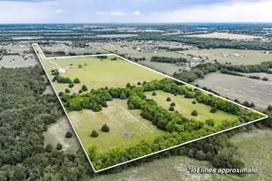 19754 Co Rd 818, Farmersville, TX 75442 - Photo 2