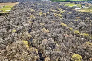 1382 Co Rd 2738, Caddo Mills, TX 75135 - Photo 14