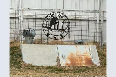 103 Tusk Court, Weatherford, TX 76085 - Photo 8