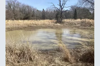 15314 Fm 3062, Malakoff, TX 75148 - Photo 6