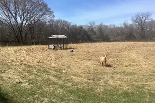 15314 Fm 3062, Malakoff, TX 75148 - Photo 8