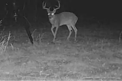 7222 Fm 905, Paris, TX 75462 - Photo 38