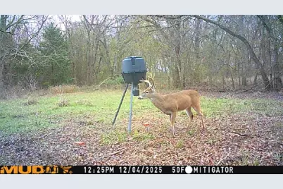 7222 Fm 905, Paris, TX 75462 - Photo 40