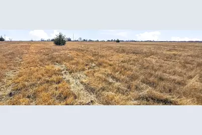 703 E Cook Street, Josephine, TX 75173 - Photo 12