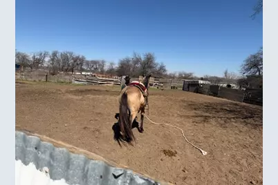 4815 Garden Lane, Fort Worth, TX 76119 - Photo 16