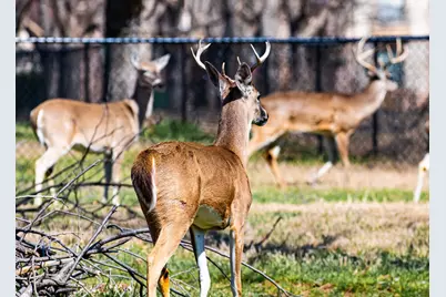 2167 E Landings N, Granbury, TX 76049 - Photo 16