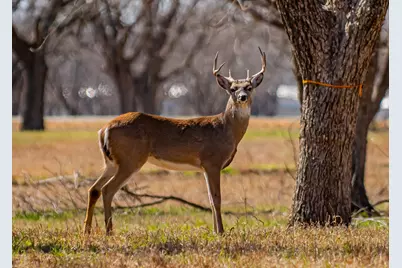 2167 E Landings N, Granbury, TX 76049 - Photo 14