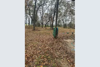 225 County Road 1975, Yantis, TX 75497 - Photo 8