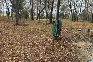 225 Co Rd 1975, Yantis, TX 75497 - Photo 8