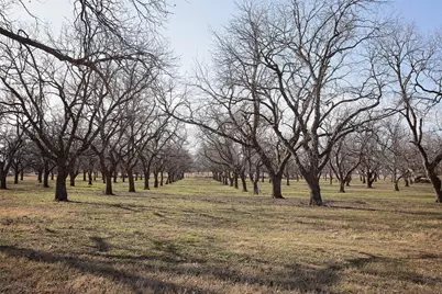 000 Pecan Lane, Newcastle, TX 76372 - Photo 4