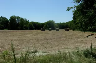 2846 Co Rd 2415, Pickton, TX 75471 - Photo 1