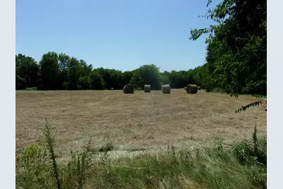 2846 County Road 2415, Pickton, TX 75471 - Photo 10