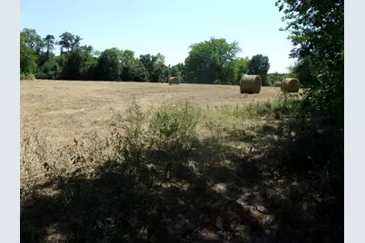 2846 County Road 2415, Pickton, TX 75471 - Photo 6