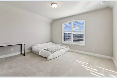 14272 Sedge Grass Drive, Frisco, TX 75033 - Photo 28