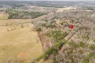 2605 Vz County Road 4923, Ben Wheeler, TX 75754 - Photo 4