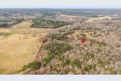 2605 Vz County Road 4923, Ben Wheeler, TX 75754 - Photo 2