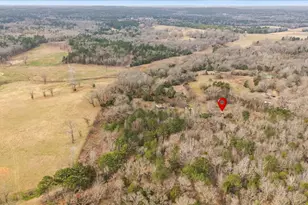 2605 Vz County Road 4923, Ben Wheeler, TX 75754 - Photo 2