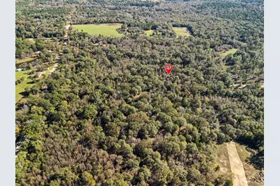 Tbd Vz County Road 4815, Chandler, TX 75758 - Photo 8