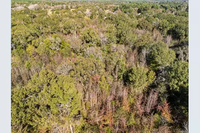 Tbd Vz County Road 4815, Chandler, TX 75758 - Photo 10