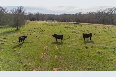 Tbd Hcr 2424, Hillsboro, TX 76645 - Photo 12