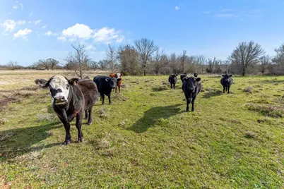 Tbd Hcr 2424, Hillsboro, TX 76645 - Photo 30