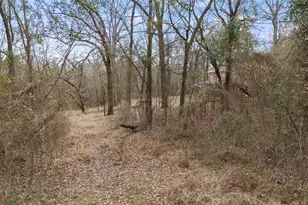 1614 county Rd 2600, Mt Pleasant, TX 75455 - Photo 30