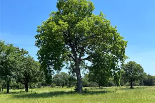 Lot 9 Kiowa Oaks Ct, Gainesville, TX 76240 - Photo 1