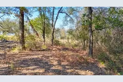 Lot 14 Bordeaux Lane, Corsicana, TX 75109 - Photo 6