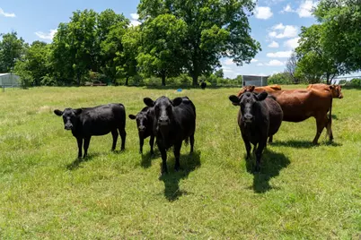 248 Shaffer Road, Denison, TX 75021 - Photo 36