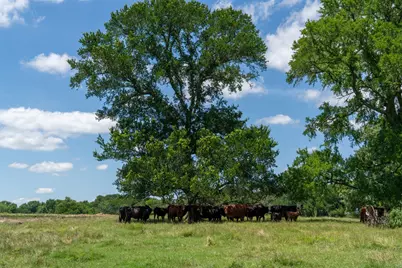 248 Shaffer Road, Denison, TX 75021 - Photo 34