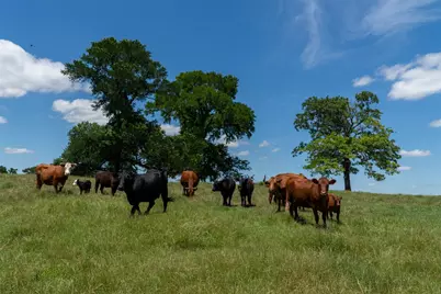 248 Shaffer Road, Denison, TX 75021 - Photo 30