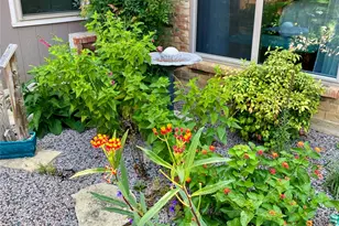 7449 Timberhill Dr, North Richland Hills, TX 76182 - Photo 40