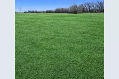 14319 Lucille Drive, Newark, TX 76071 - Photo 8