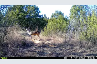 Tbd County Road 156, Stephenville, TX 76401 - Photo 10
