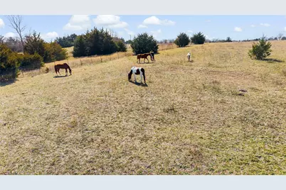 11016 State Highway 78 N, Blue Ridge, TX 75424 - Photo 28