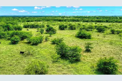 Tbd 13.846 Acres Winn Road, Collinsville, TX 76233 - Photo 16
